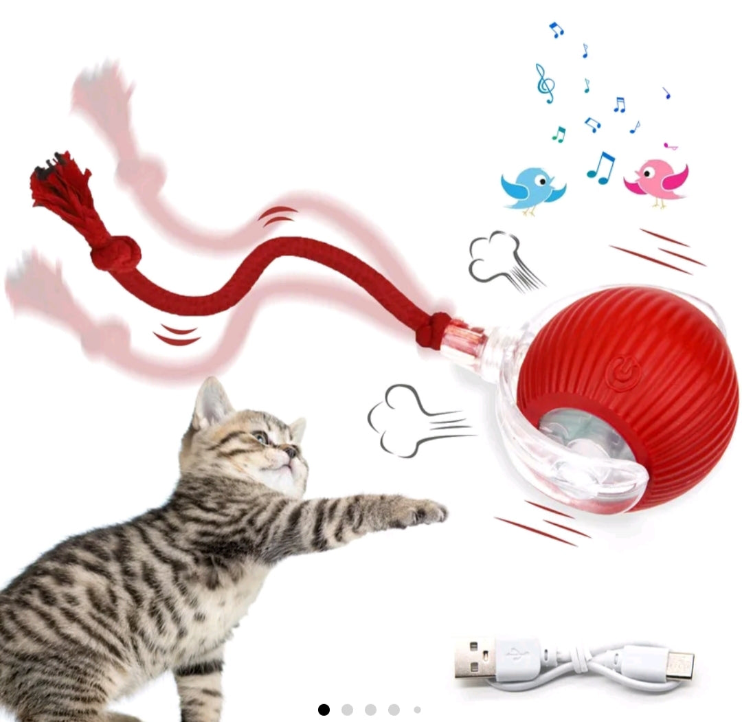 Bola interactiva para gatos